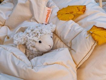 edredón infantil de lana merino antialérgico