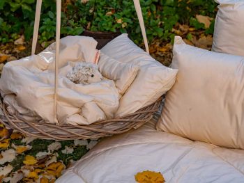 edredón infantil de lana merino antialérgico